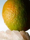 Mystic Moss Dries Van Noten Eau De Toilette 100ml