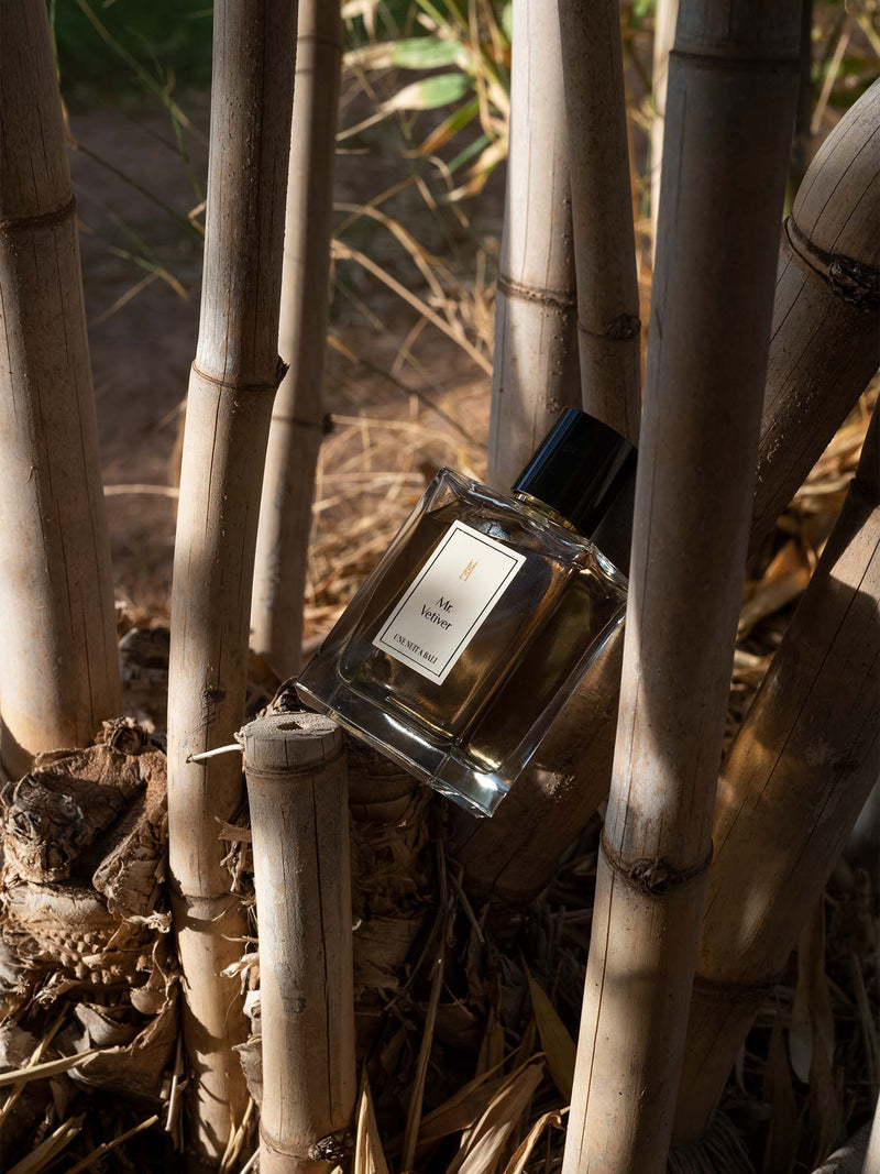 Mr. Vetiver Une Nuit Nomade Eau De Parfum Sample