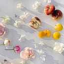 Ananda EDP M.Micallef