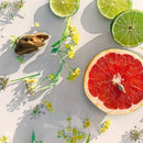 Osaito M.Micallef EDP