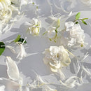 Pure Extreme M.Micallef EDP